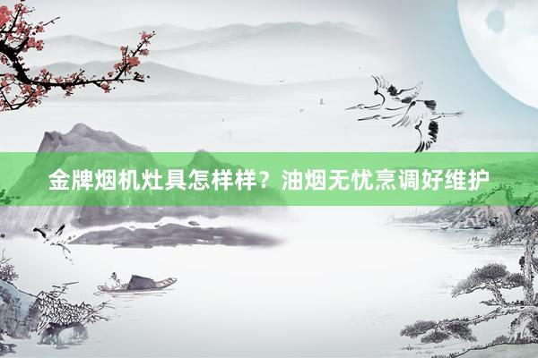 金牌烟机灶具怎样样？油烟无忧烹调好维护