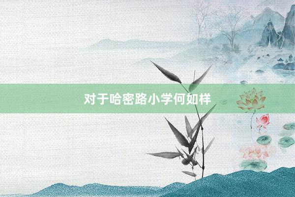 对于哈密路小学何如样